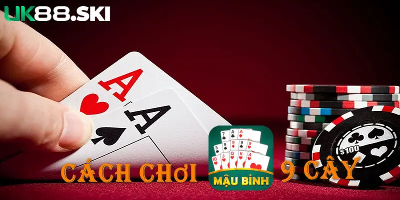 Giới thiệu những thông tin cơ bản về binh 9 cây