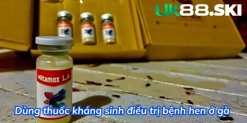 Dùng thuốc kháng sinh điều trị bệnh hen