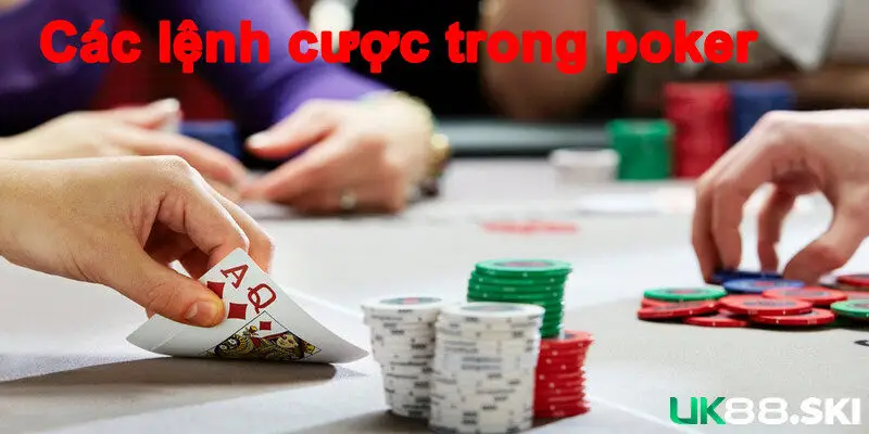 Chia sẻ kinh nghiệm chơi, cá cược dễ thắng lớn 