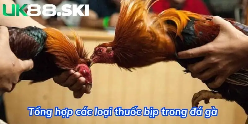 Tổng hợp các loại thuốc bịp trong đá gà 