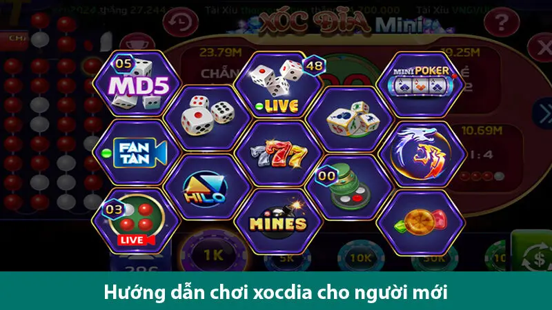 Thắng dễ với các mẹo chơi xóc đĩa mini từ cao thủ cá cược online